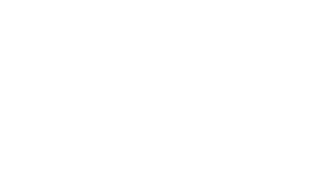 DNV white